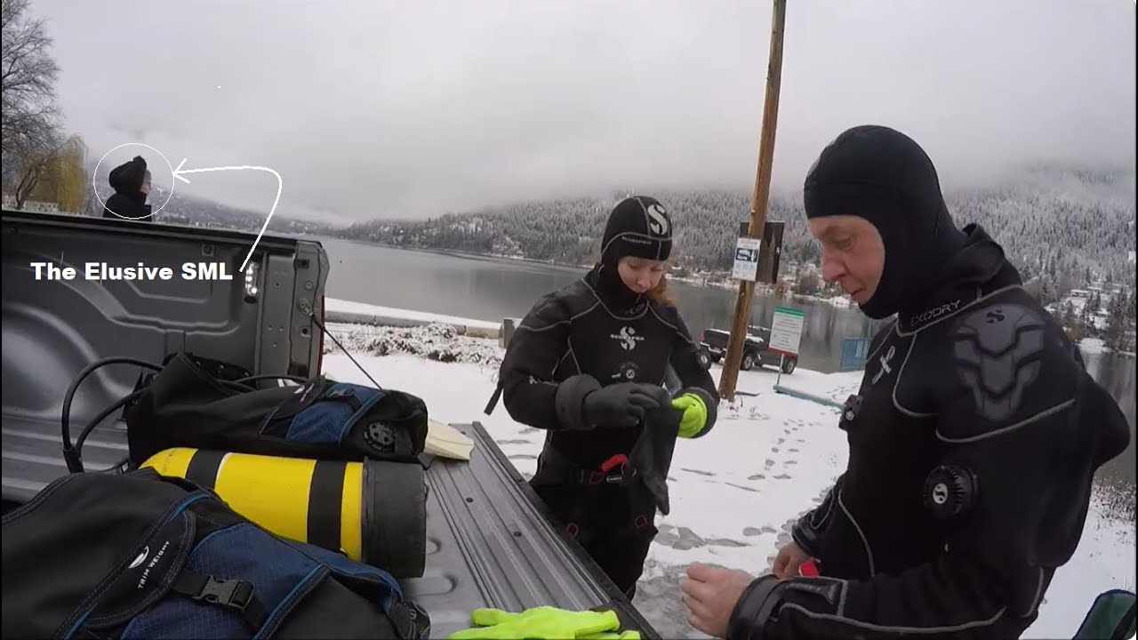 Scuba Diving Nelson's BOB Jan 11 2026