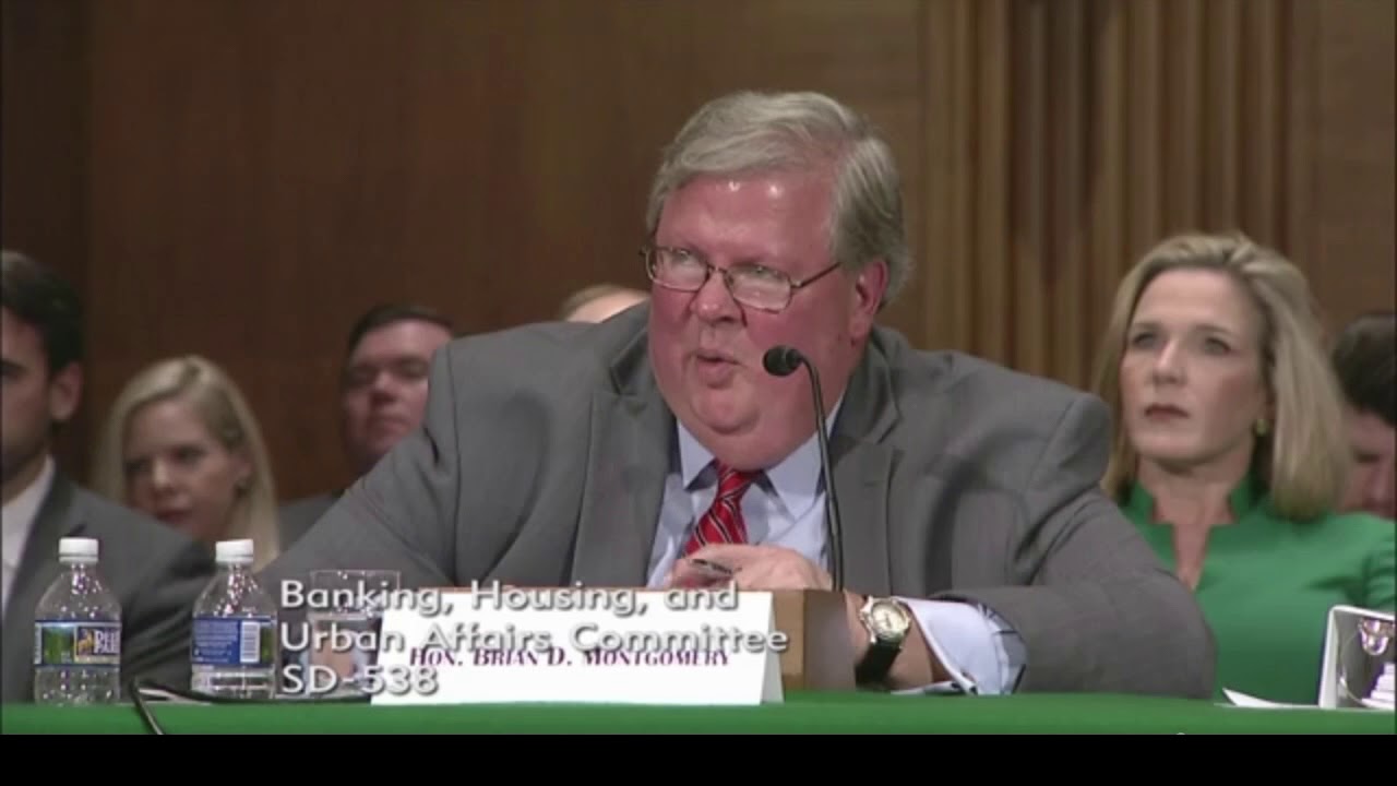 Elizabeth Warren asks Trump nominee Brian Montgomery about his use of the revolving door