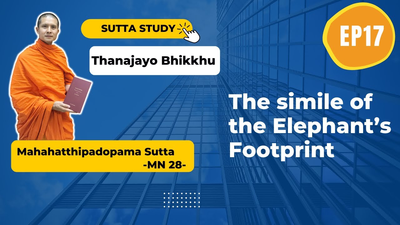 EP17 Sutta Study: The Simile of the Elephant's Footprint | Buddhism in English|Thanajayo Bhikkhu