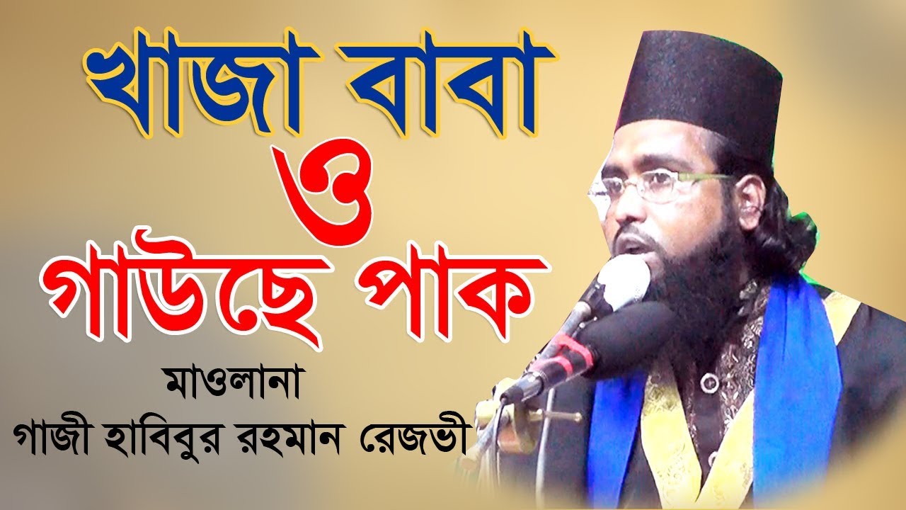 মাওলানা গাজী হাবিবুর রহমান রেজভী।। 01715261408। খাজা বাবার সাথে গাউসে পাকের আলাপচারিতা। biplob media