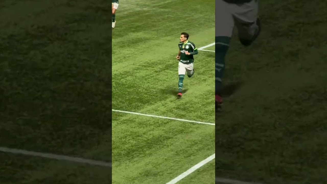 O gol e a comemora&ccedil;&atilde;o mais braba do Brasil. Raphael Veiga - Palmeiras!