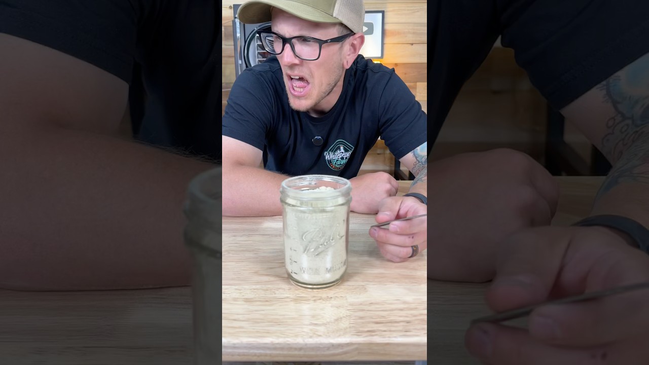 We Freeze Dried Ginger And It Punched Back!