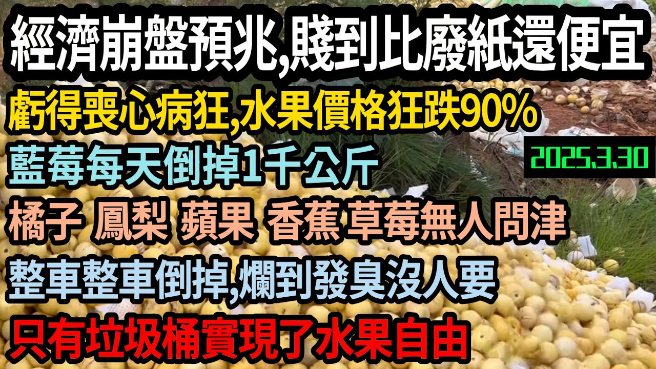 中國水果大崩盤，經濟崩潰預兆？賤過廢紙皮，整車整車倒掉，爛掉都沒人要，虧得喪心病狂，水果價格狂跌90%，藍莓每天倒掉1千公斤，香蕉蘋果橘子草莓全爛完，十幾年未見如此行 #中国