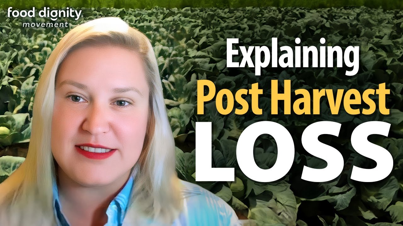 Explaining Post Harvest Loss