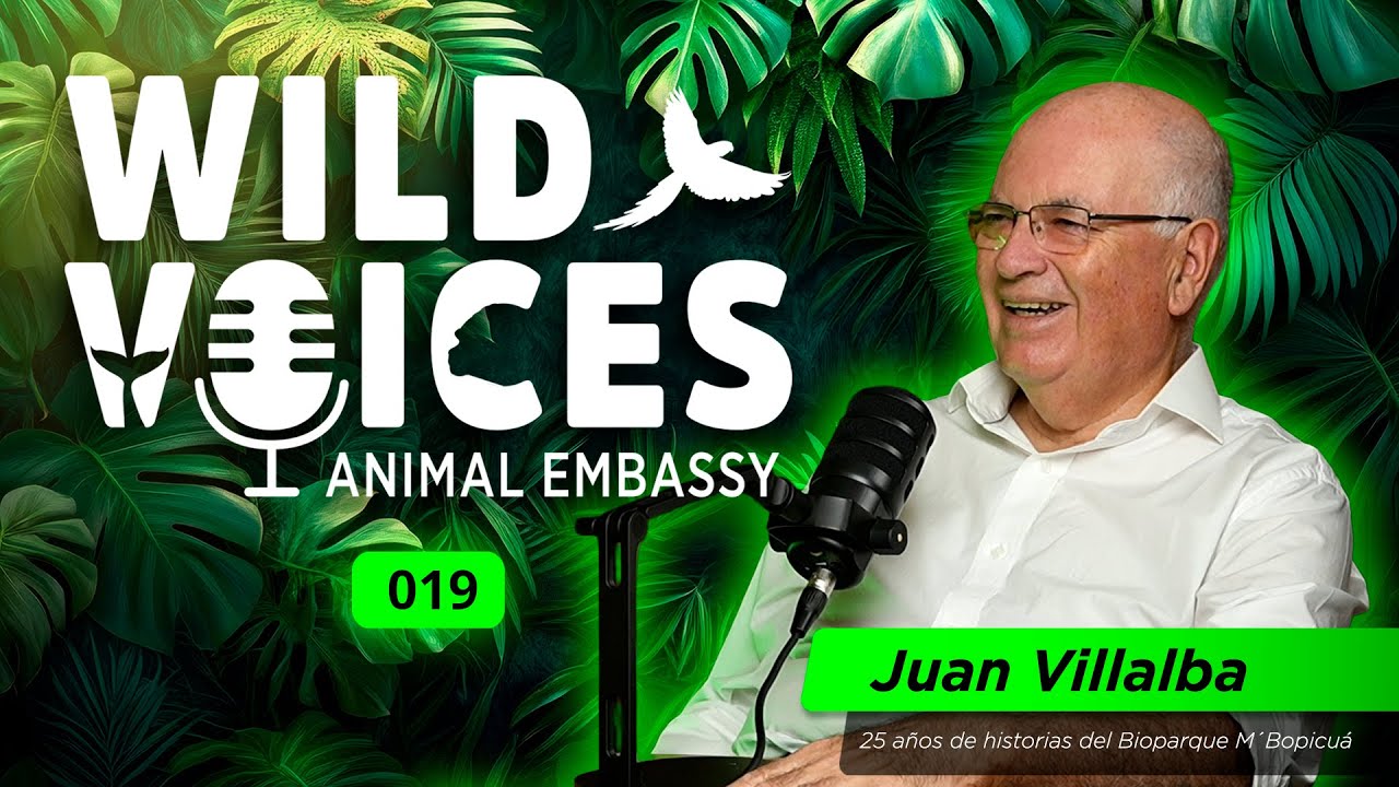 Wild Voices Podcast 019 -  Juan Villalba