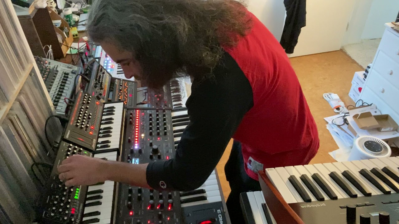 DAWLESS - Male drone bee