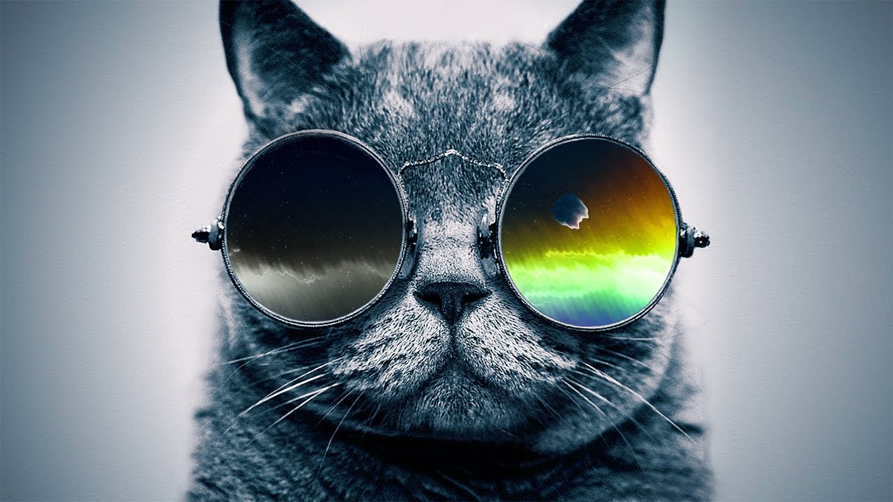 Funky Rap / Hip-Hop Instrumental | Jazzy Guitar Beat 