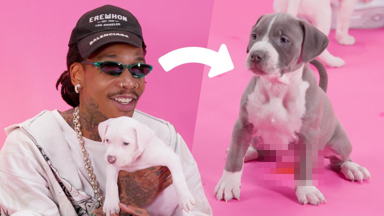 Wiz Khalifa: The Puppy Interview