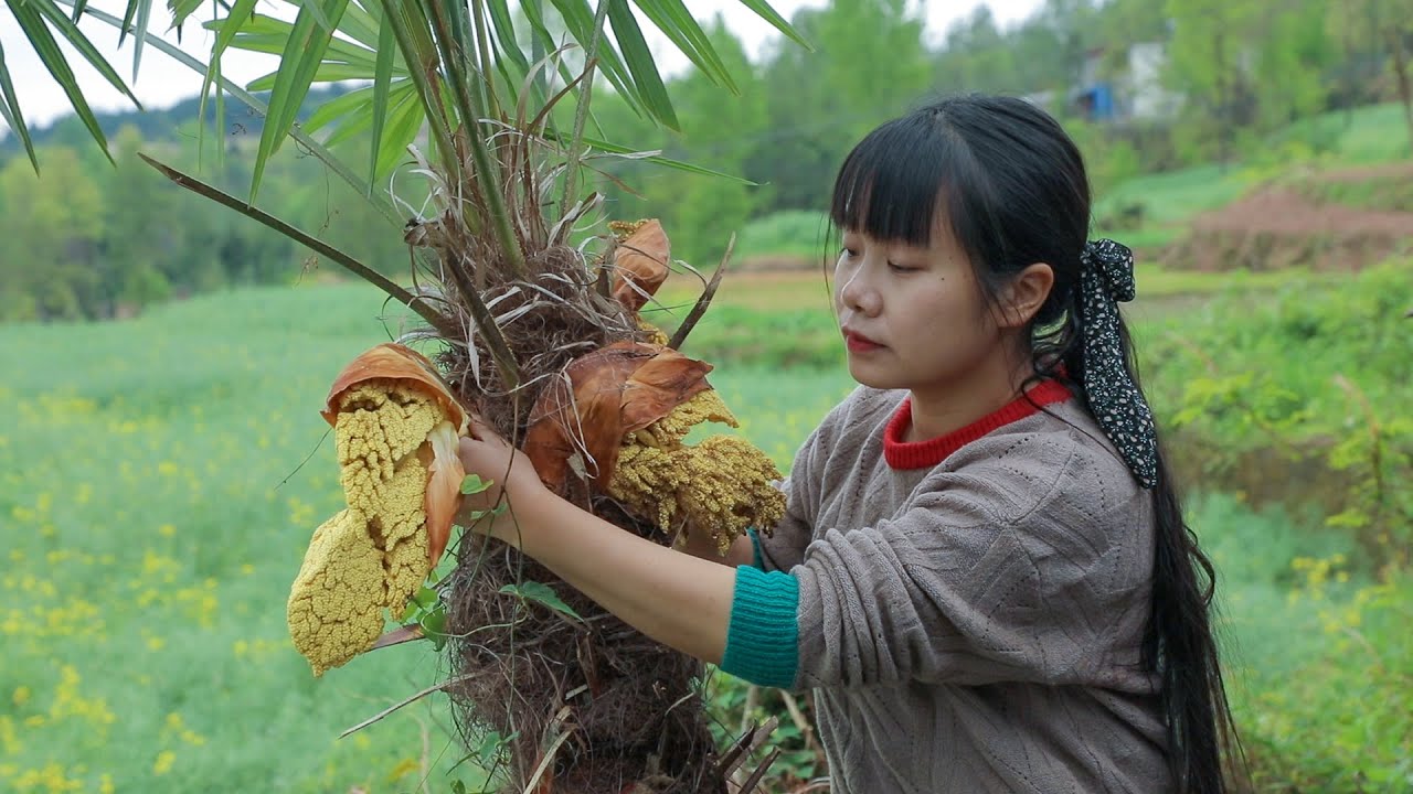 【二米炊烟】Wild Vegetables. Cook Leaves and Fungus Grown on the Ground?!