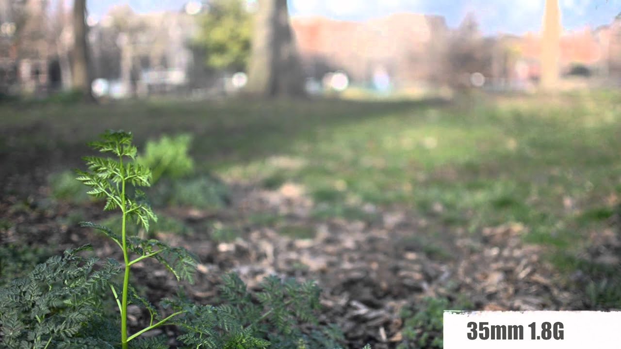 Nikon 50mm f/1.8G vs 35mm f/1.8G PART 2