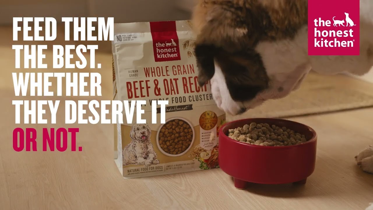 For the Best...and Naughtiest Pups. The Honest Kitchen Dog Food | Alarm 30s