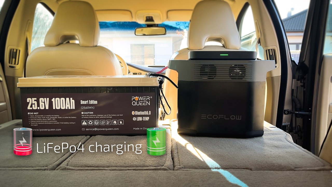 Зарядка LiFePo4 🔋 Power Queen | CTEK | Зарядное устройство EcoFlow | AC/DC