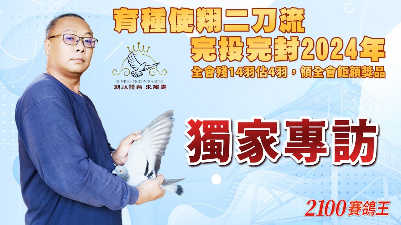 獨家專訪【朝旭競翔 宋建霆】育種使翔二刀流 完投完封2024年 春季摘冠＆冬季入四羽領大賞​ #朝旭至尊 #朝旭女帝 #女神 #大斑金母 #秘包系 #黃金配對