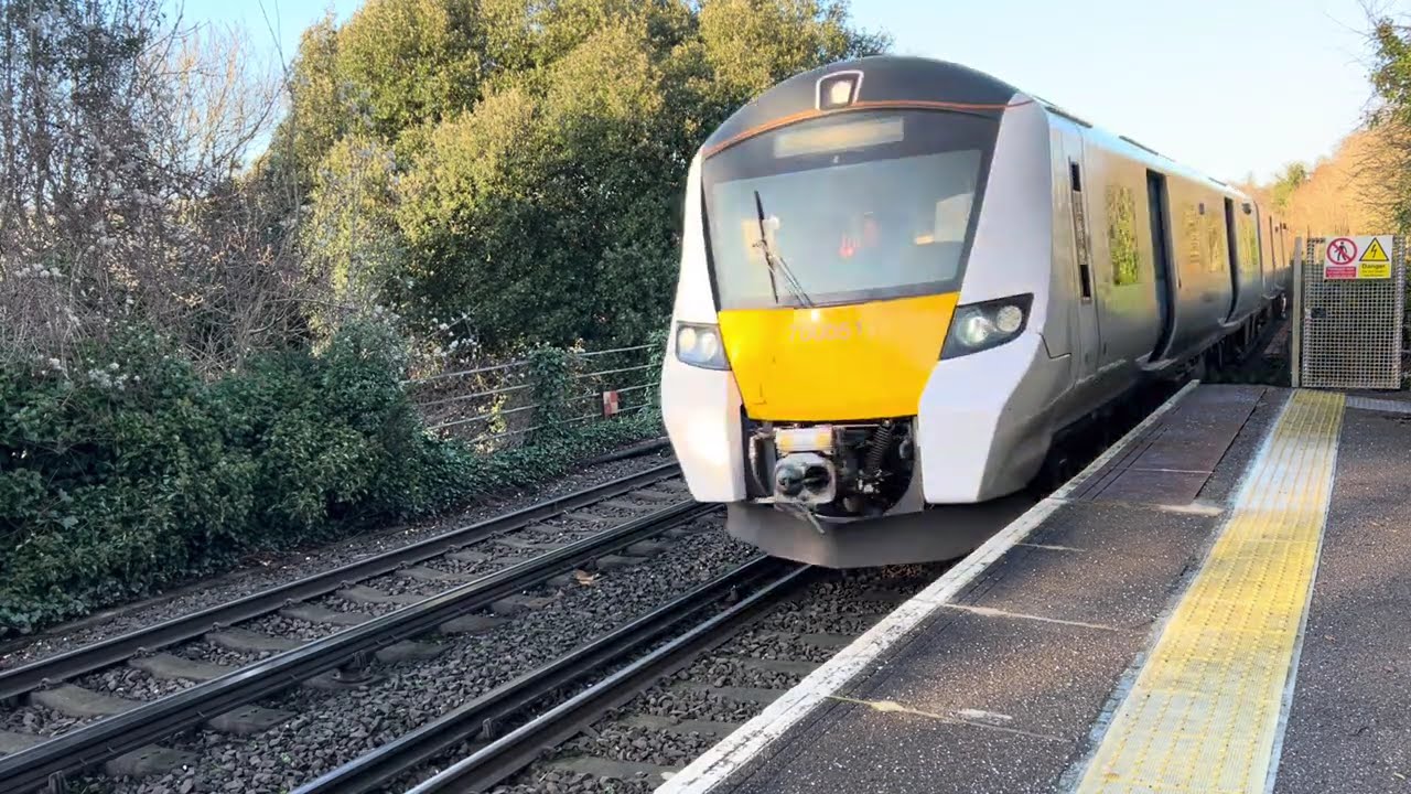 Trains at Eynsford (02/01/25)