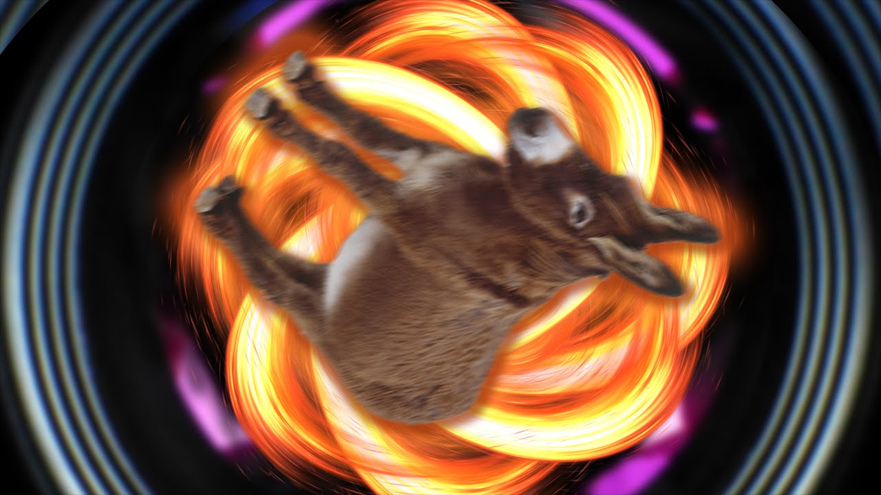 Donkey Roll