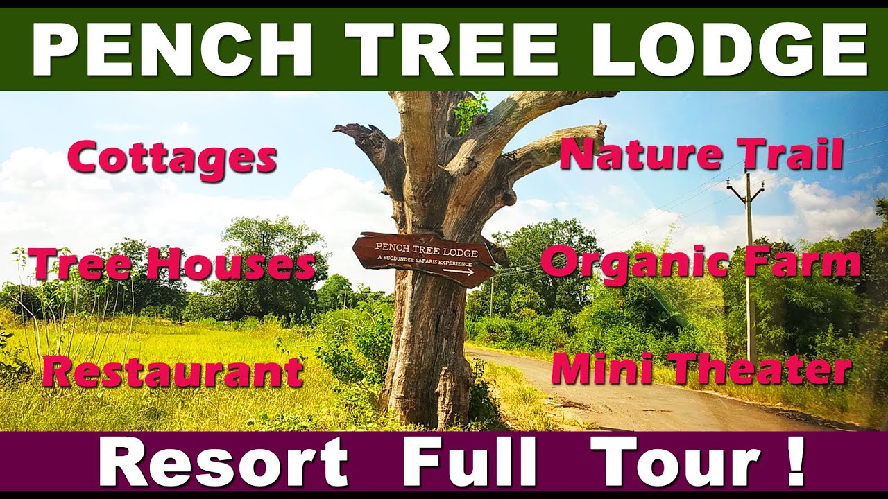 Resort Full Tour! Pench Tree Lodge, by Pugdundee Safaris. Luxury Resort in Pench National Park, MP