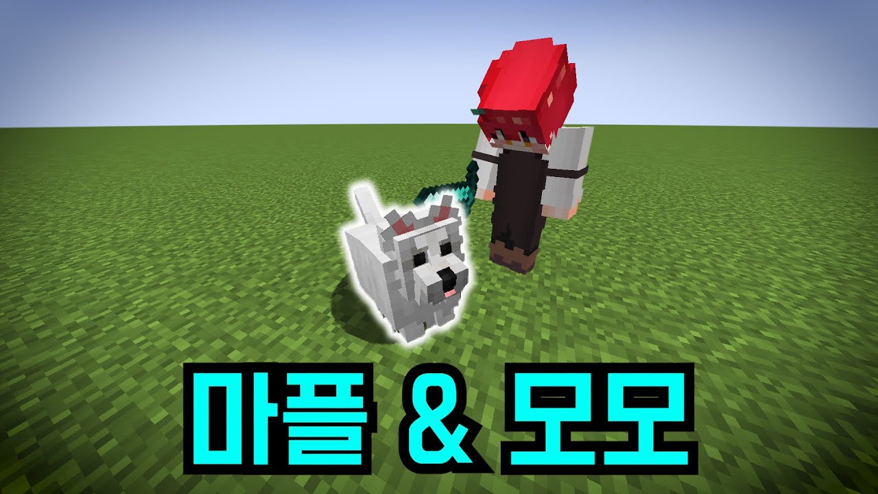 늑대 업데이트