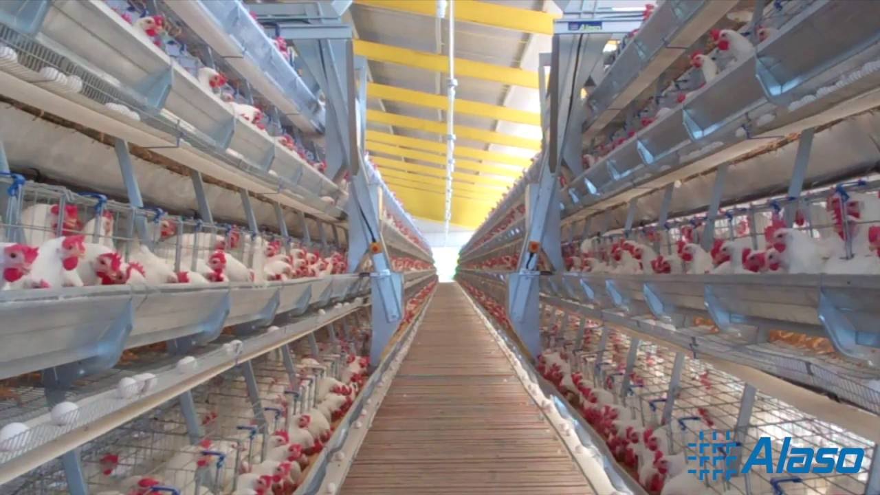 Traveling Hopper Feeding System (ENGLIGH)