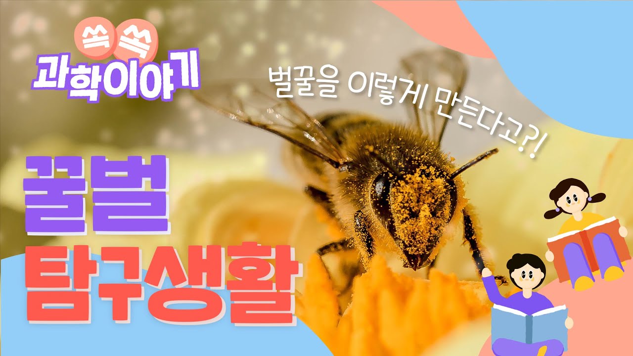 쏙쏙 과학이야기 7화│꿀벌 탐구생활