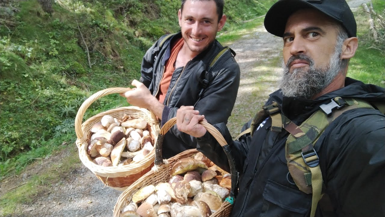 Boletaire Furi&oacute;s - 16 de Setembre  de 2025 ceps pel Ripoll&egrave;s (Boletus edulis)