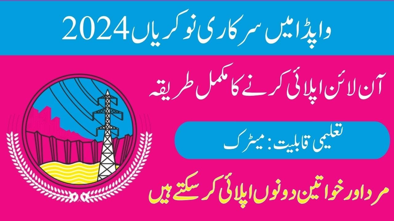 Water and Power Development Authority Wapda jobs 2024 Application form
