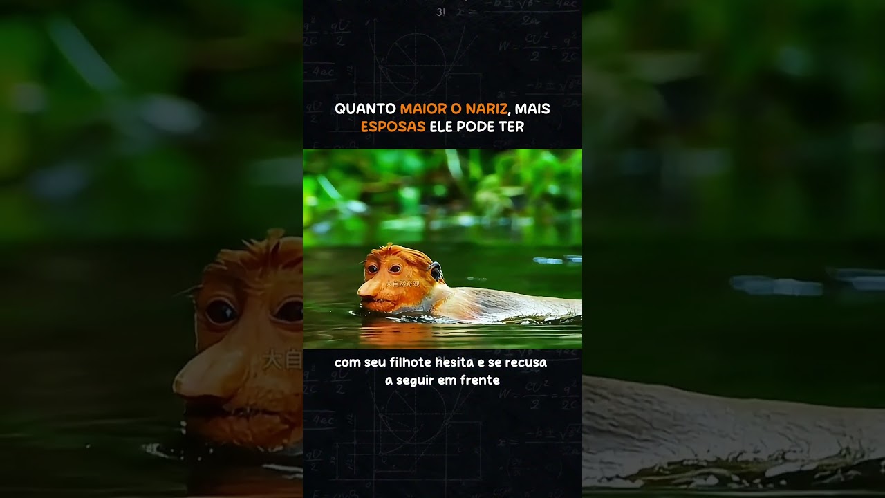 #curiosidades #curiosidadeanimal #curiosidadesanimais