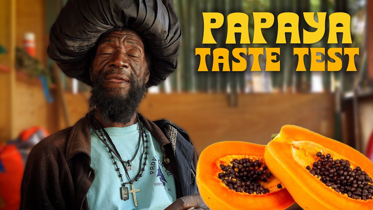 Papaya Taste Test! Slow Farmed Organic