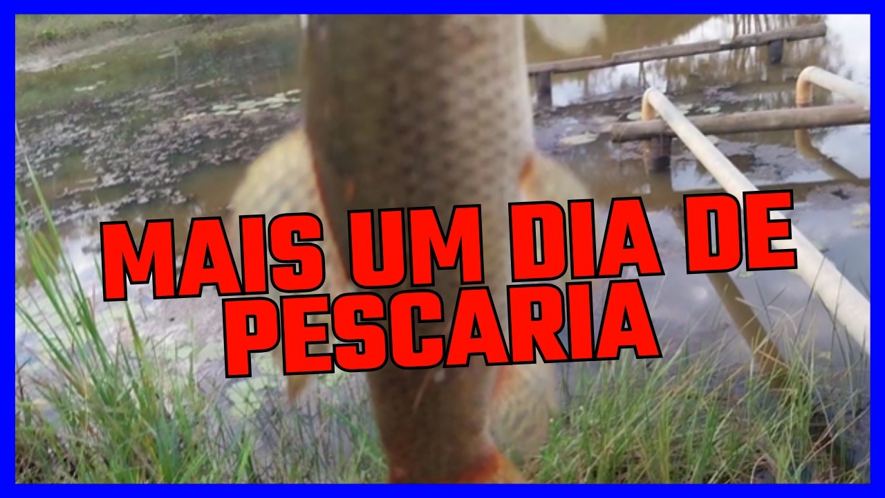 MAIS UM DIA DE PESCARIA NA ROÇA | VIDA SIMPLES E FELIZ