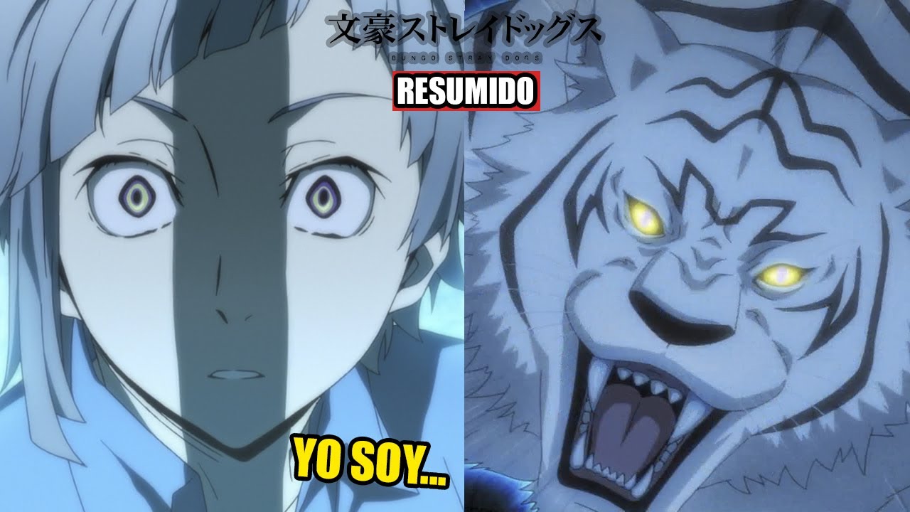🌑EL CHICO QUE PODÍA CONVERTIRSE EN TIGRE! | Bungou Stray Dogs RESUMIDO