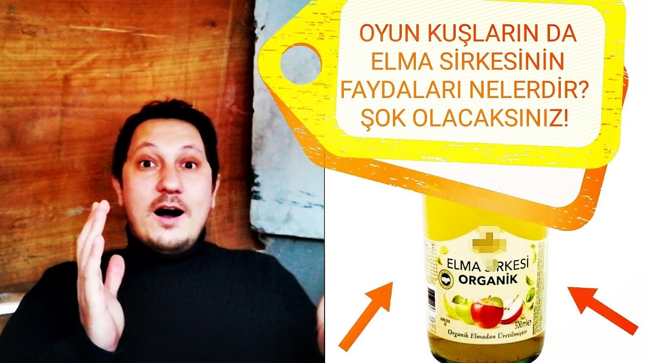 OYUN KUŞLARIN DA ELMA SİRKESİNİN FAYDALARI NELERDİR? |SEFERLİ GÜVERCİN|