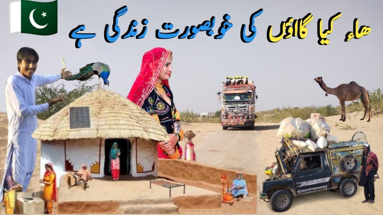 Desert Women Morning Routine In Winter Fog l Village Life In Sindh Tharparkar l Desert Life Reality