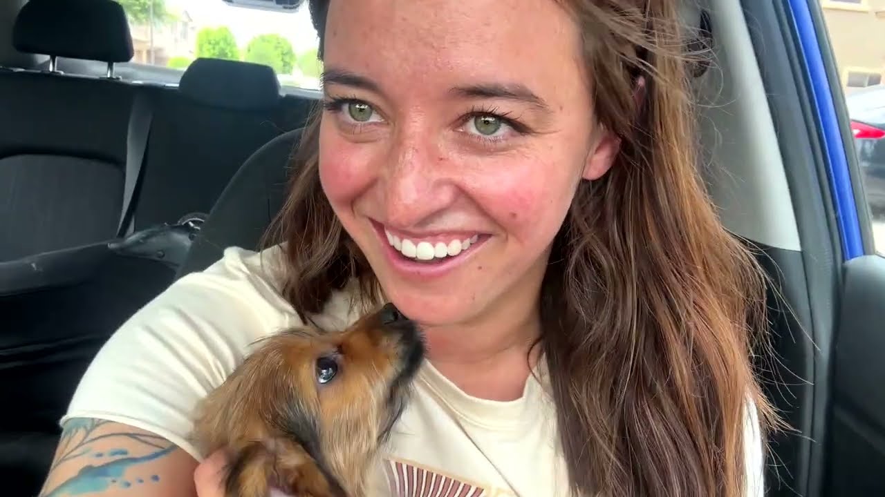 Flying Home with a New Puppy!