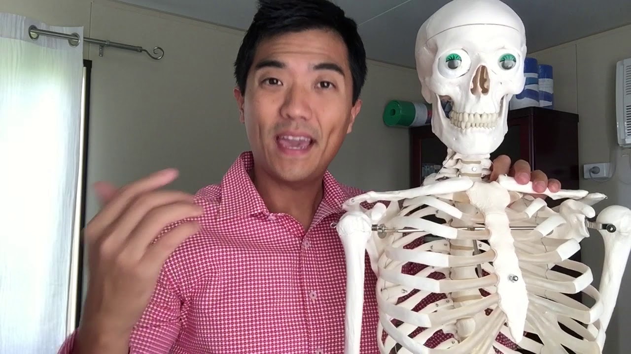 How your Pecs can cause Shoulder Impingement pain, Neck pain and Headaches