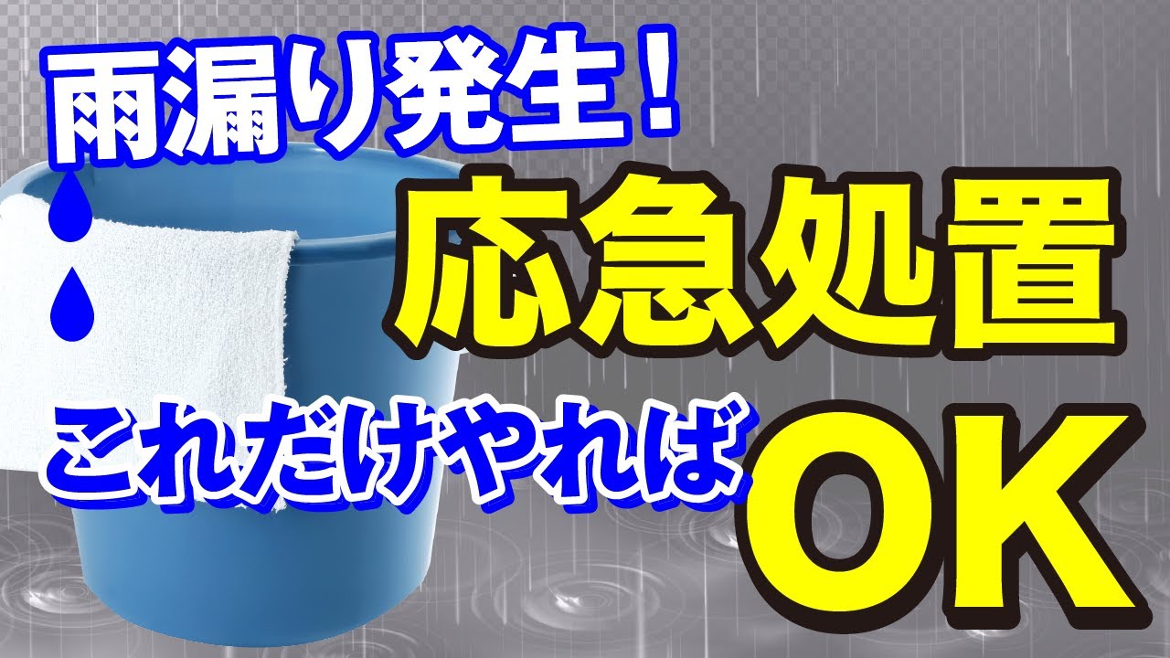 被害拡大を防ぐ！雨漏りに必須の応急処置【アメピタ！】