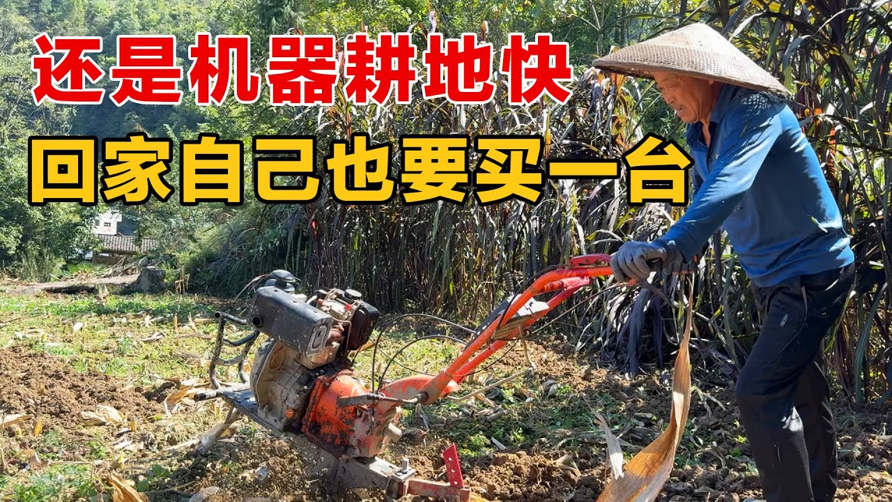 机器耕地快多了，多跟老丈人学习一下使用机器耕地，到时候回家可以买一台来耕地