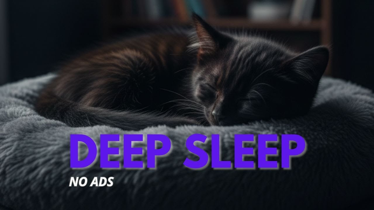 Cat Anxiety Getting Worse? Deep Sleep Music to Calm Your Kitten | Stress Relief Guaranteed