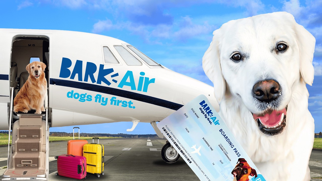 We Flew on the World’s First Dog Airline!