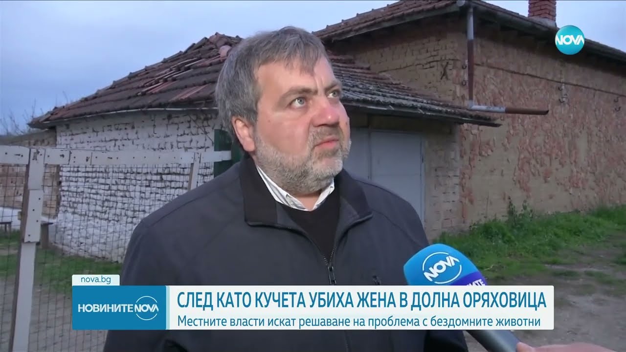Кметът на Долна Оряховица: Нямаме правомощия да се справим с проблемните кучета - Новините на NOVA
