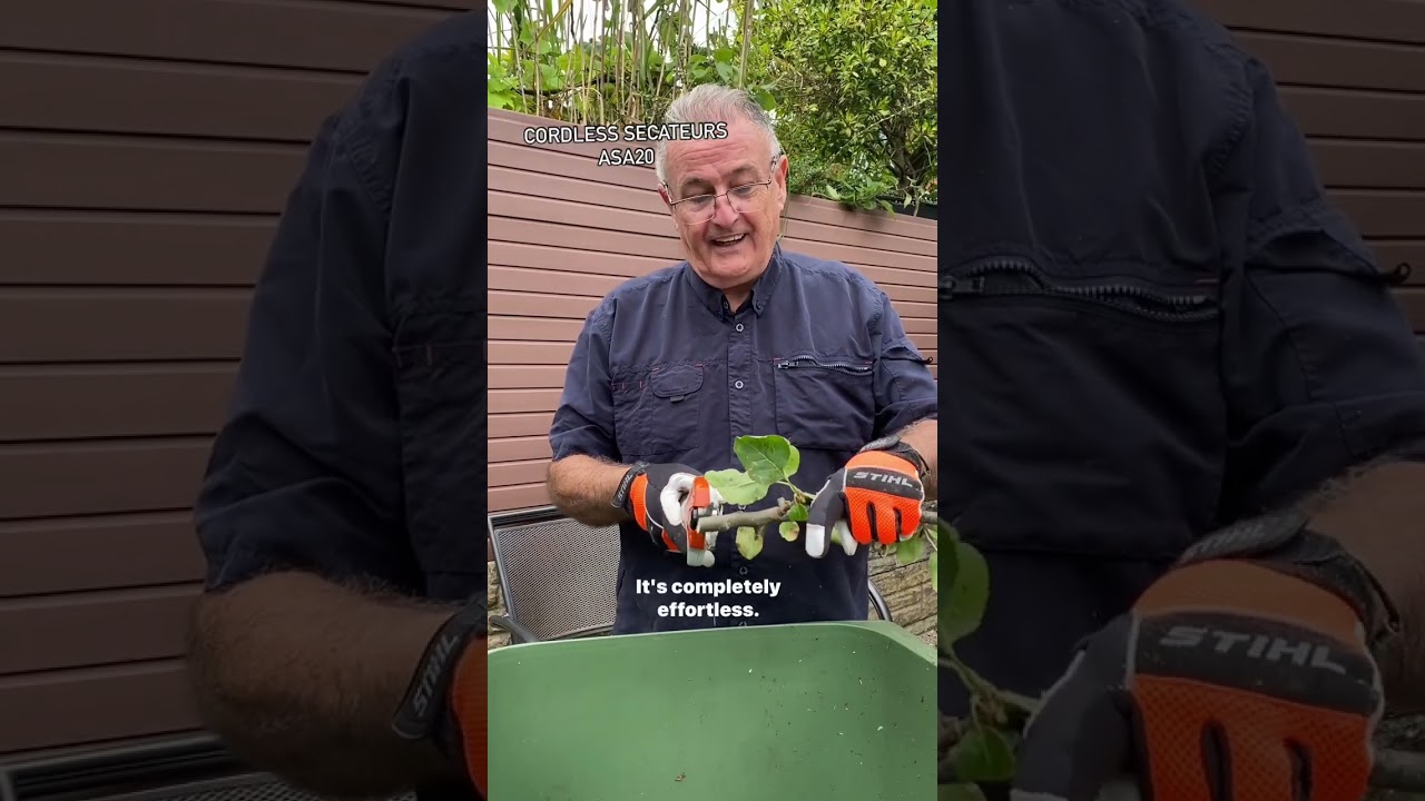 Cordless Secateurs ASA20 From STIHL