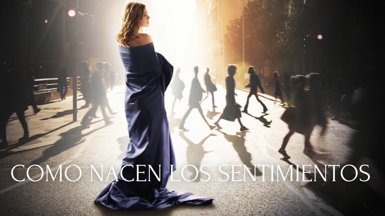 Increíble película 2024! COMO NACEN LOS SENTIMIENTOS | Películas Completas En Español