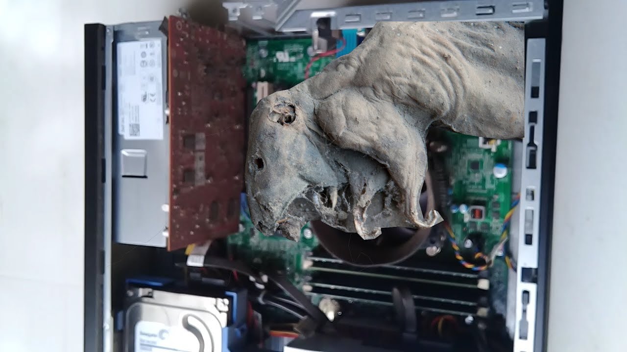 Limpiando la pc encuentro rata muerta (Termina sexual)