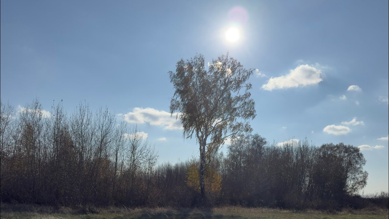 1073.🎼. Jacob Gurevitsch &ndash; &laquo;Mapa de Soledad&raquo;,(&laquo;Карта Одиночества&raquo;)