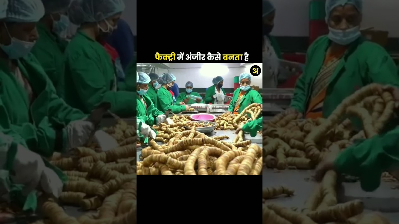 Anjeer Dry Fruits Making Process #farming #farmer #making