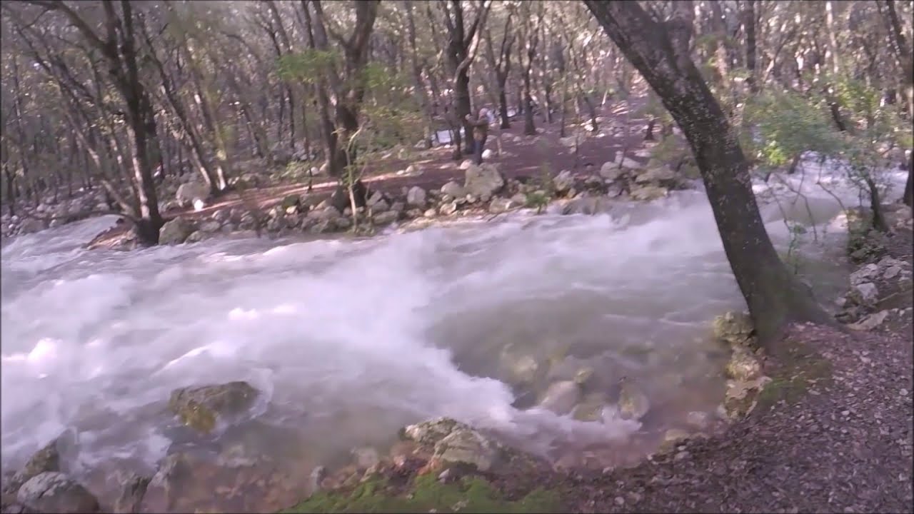 Excursión a Ses Fonts Ufanes en Mallorca