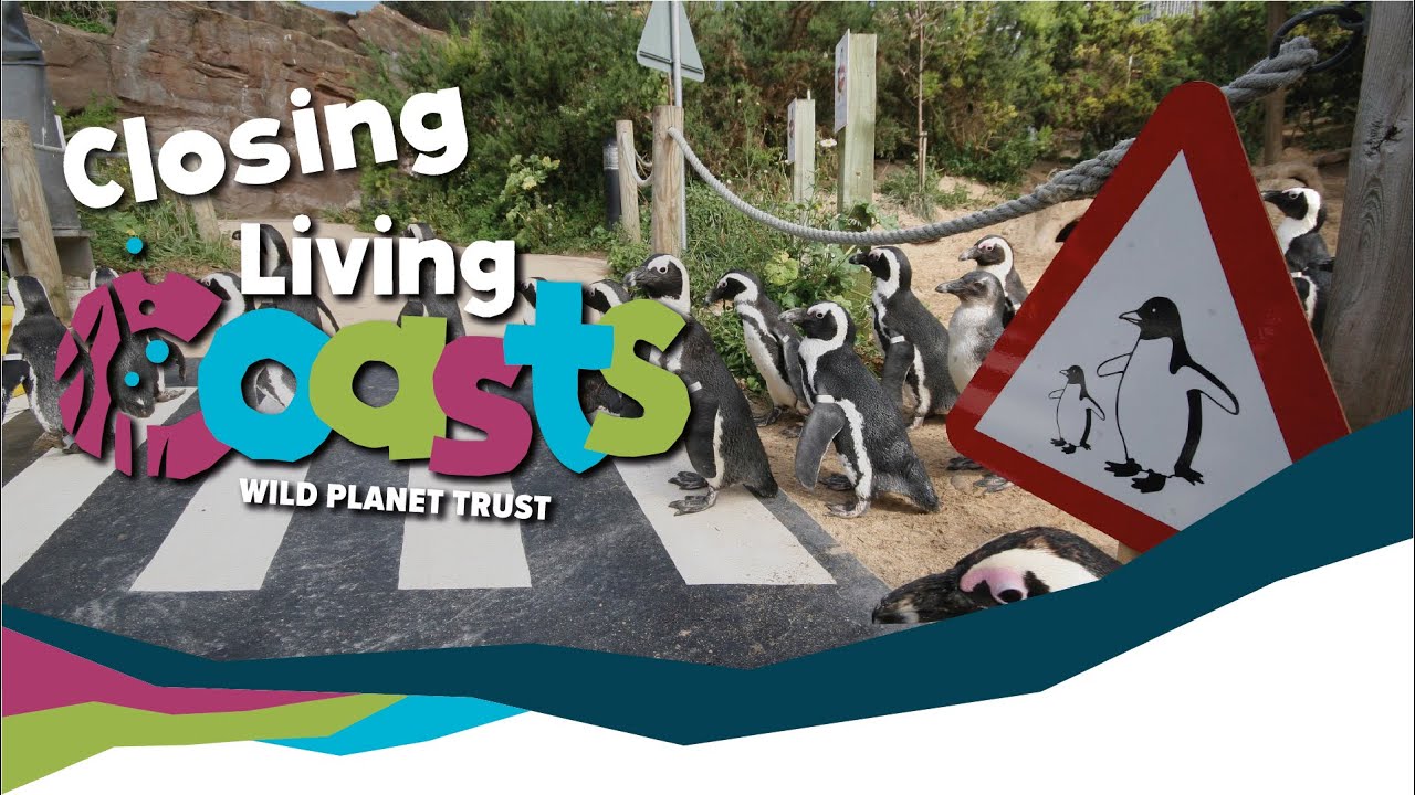 Closing a Zoo and Aquarium - Living Coasts
