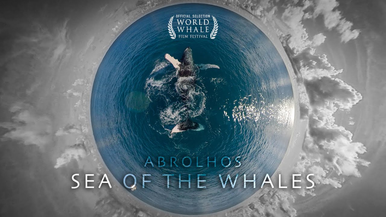 ABROLHOS | SEA OF THE WHALES