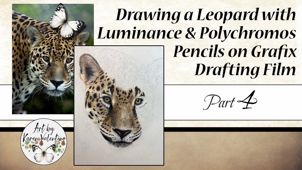 Drawing a Leopard with Colored Pencils and Drafting Film *Part Four*