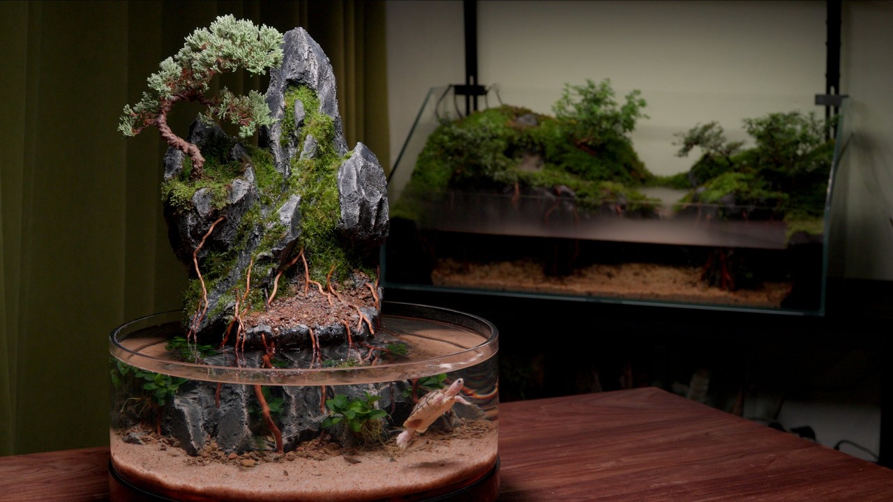 I Built a Two-Level Japanese Garden in a 40cm Round Tank!