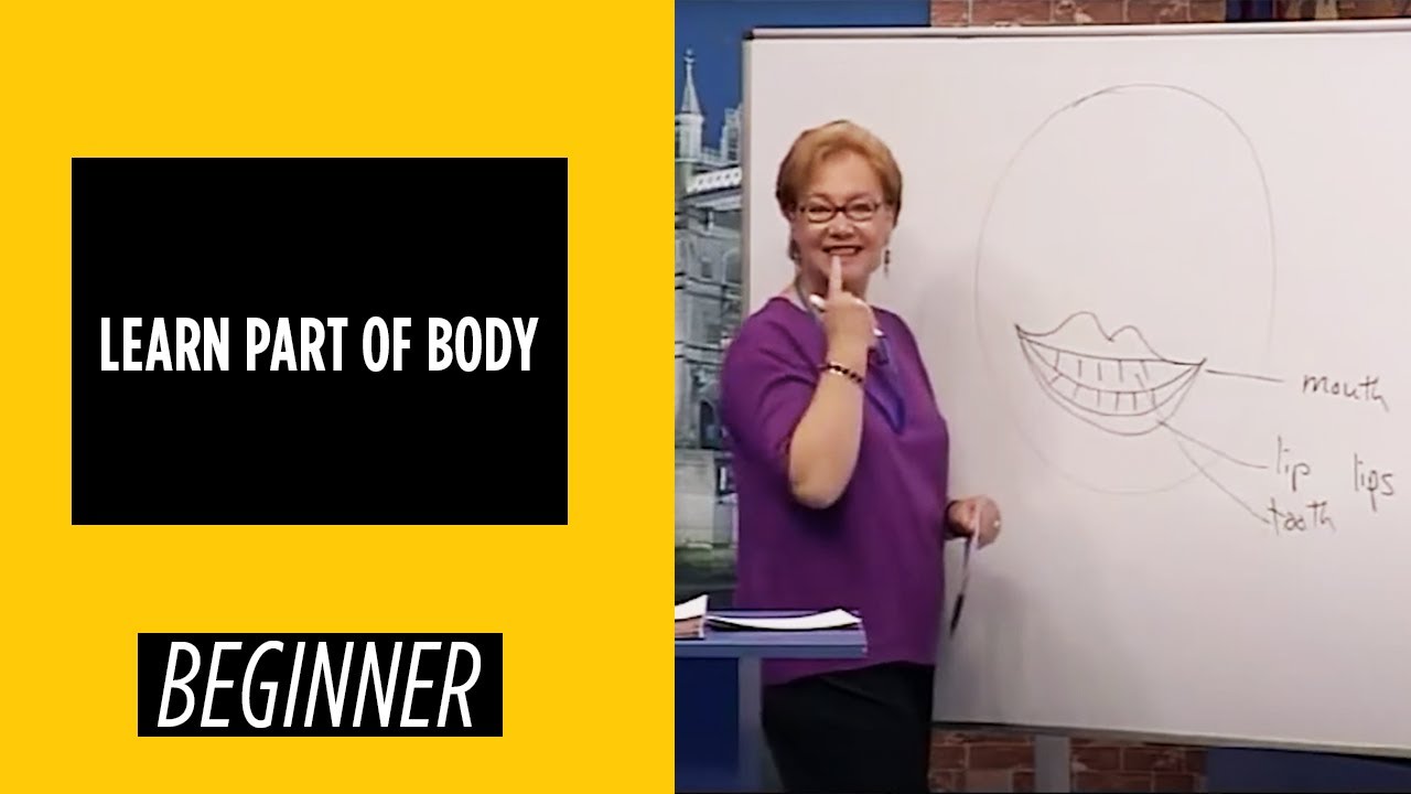 Beginner Level – Learn Part of Body | English For You