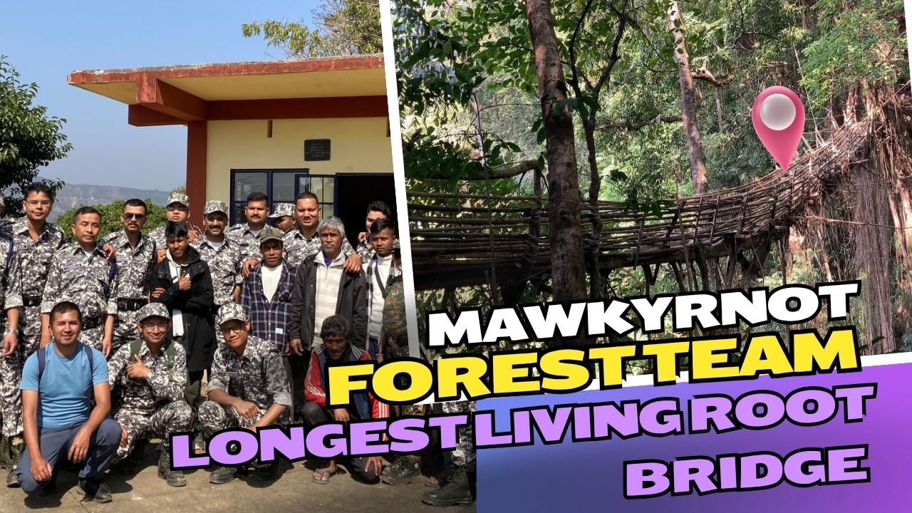 40 ngut ki SHIPAI ha Jingkiengjri bajrong tam ha MEGHALAYA #mawkyrnot #livingrootbridges #pynursla